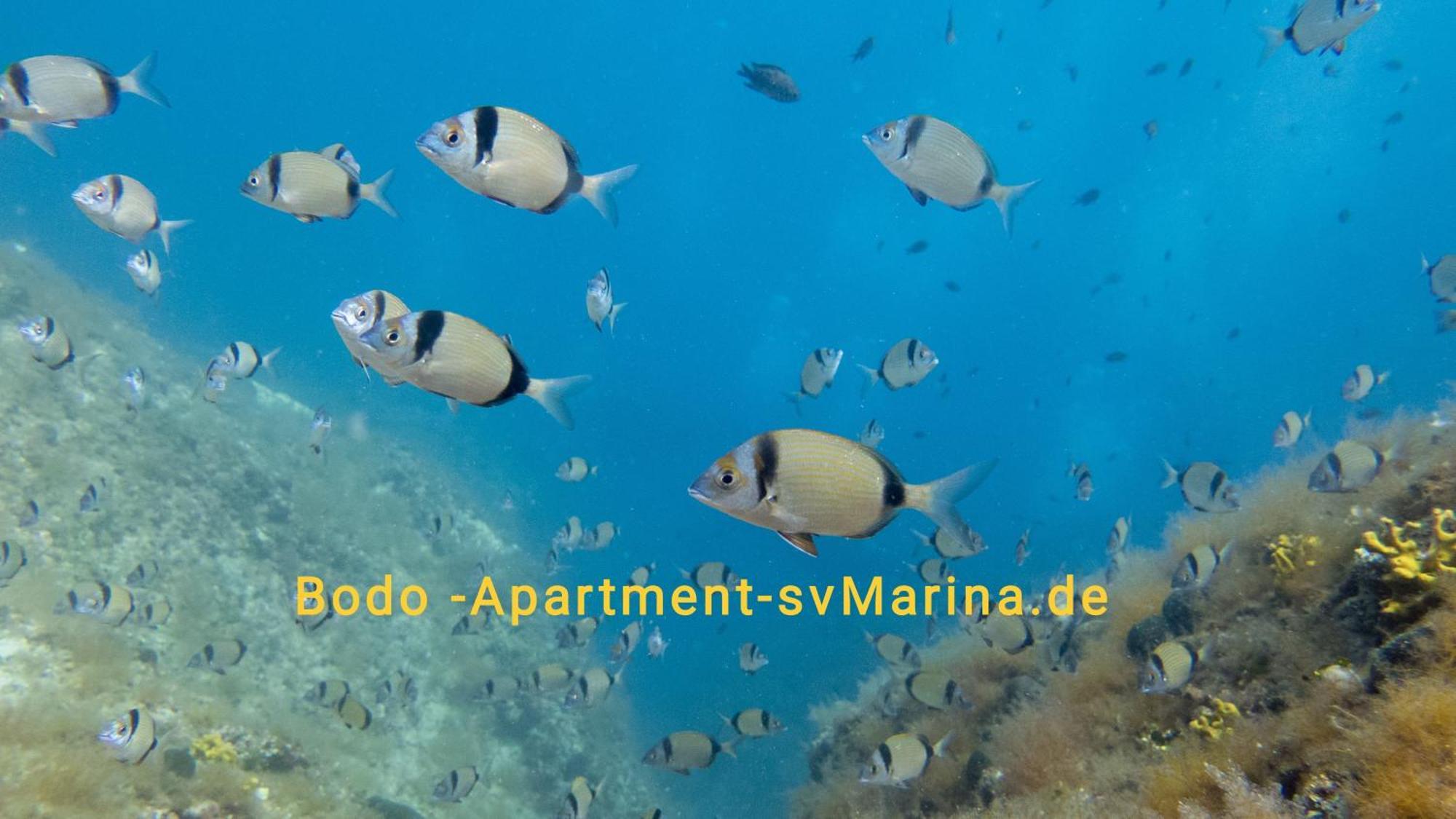 Bodo Apartment ลาบิน ภายนอก รูปภาพ
